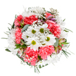 This radiant bouquet, handcrafted by local Harpenden florists and displayed on a pristine white surface, is a celebration of spring's promise and renewal. At its core, cheerful white daisies, their golden-green centers gleaming like sunlight near Batford Springs, cluster amidst luxurious coral-pink carnations whose ruffled petals create lively motion and depth. Wisps of cloudlike gypsophila weave throughout, lending softness and a gentle, airy charm that dances across the arrangement like wildflowers beside the High Street. Subtle notes of blush alstroemeria buds and cool eucalyptus leaves add both dimension and a faint aromatic freshness, harmonizing the lively palette. Each stem is purposefully placed for symmetry and fullness, making the bouquet feel abundantly uplifting-perfect for conveying congratulations, birthday wishes, or thoughtful cheer to homes on Crabtree Lane or nearby villages. The overall impression is tranquil yet exuberant, capturing the genuine care and creative vision of Harpenden's florists. Designed to suit any joyous occasion, this bouquet is a testament to the beauty that springs from skilled hands and local pride, ready to brighten any doorstep or celebration across town.